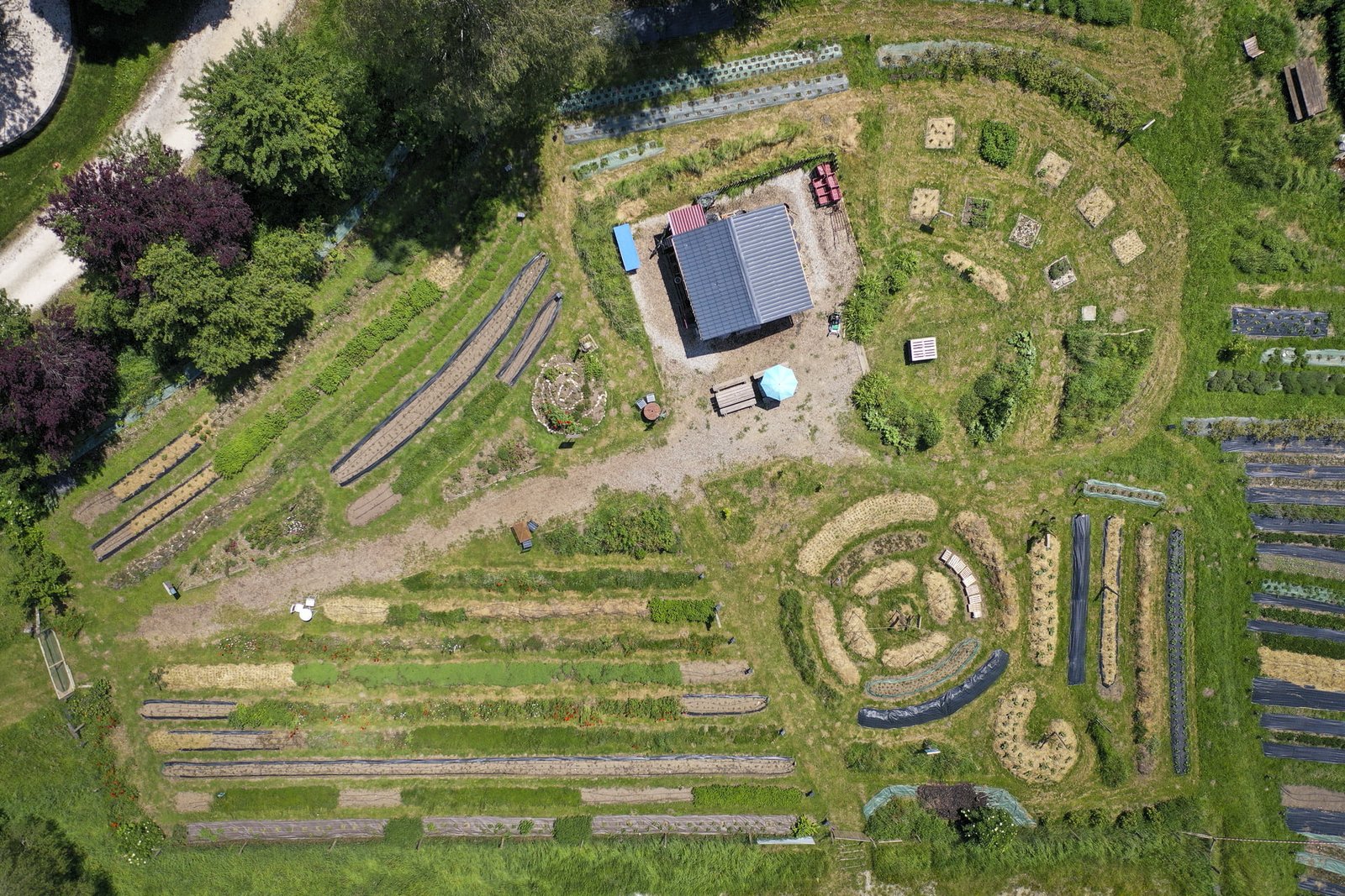 un-jardin-de-plantes-aromatiques